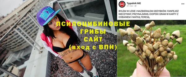 сатива Армянск
