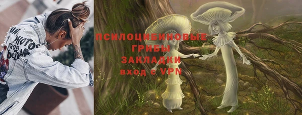 сатива Армянск